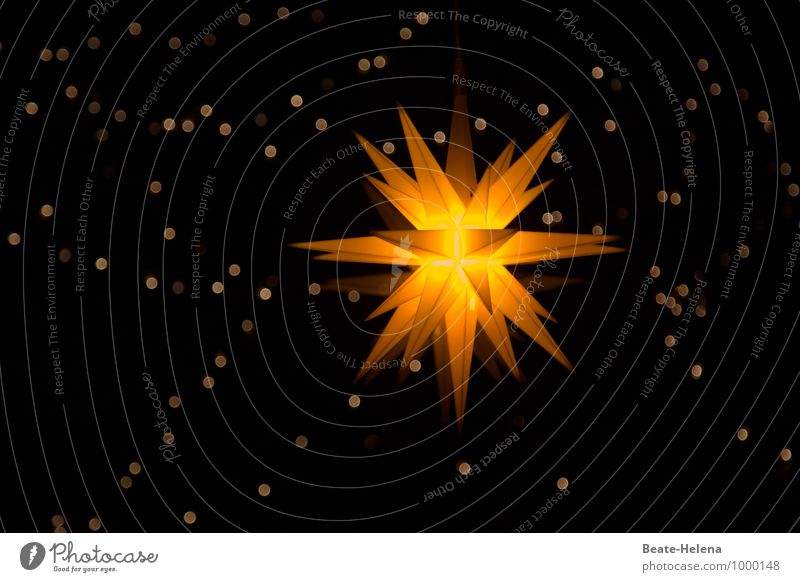 Lichterhimmel harmonisch Erholung Häusliches Leben Feste & Feiern Weihnachten & Advent Kunstwerk Winter Zeichen Stern (Symbol) berühren leuchten außergewöhnlich