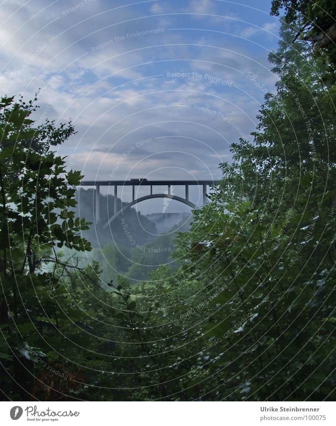 Autobahnbrücke A81 bei Rottweil Farbfoto Außenaufnahme Textfreiraum oben Morgen Ferien & Urlaub & Reisen Sommer Landschaft Pflanze Wolken Nebel Schlucht Brücke