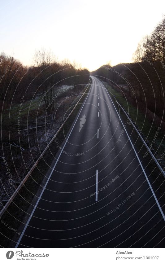 Strasse Ausflug Güterverkehr & Logistik Wald Straße Mittelstreifen Leitplanke Stein Beton Baum fahren dunkel frei lang nass Geschwindigkeit Heimweh Fernweh