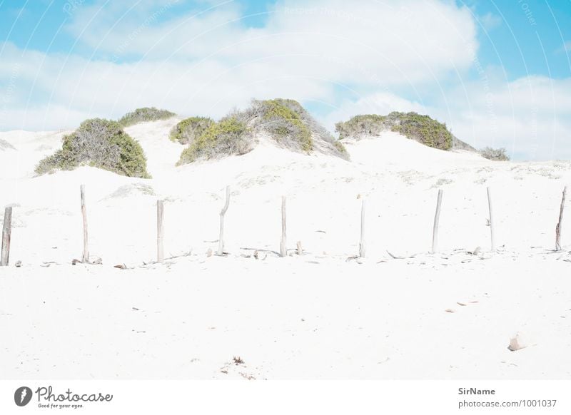 296 [zaun am falschen ort] Ferien & Urlaub & Reisen Ausflug Abenteuer Ferne Freiheit Sommer Sommerurlaub Sonne Strand Natur Landschaft Sand Himmel Sonnenlicht