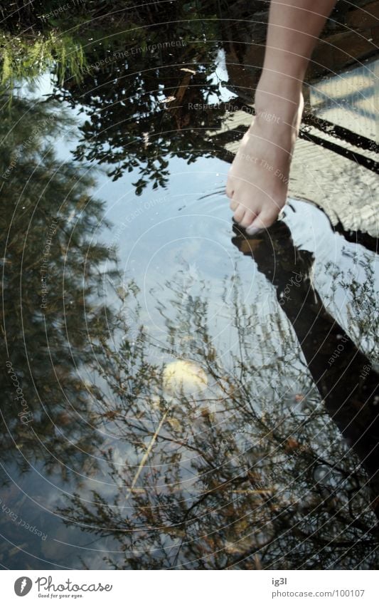 wasser in kleinen dosen Flüssigkeit liquide Erfrischung Kühlung kühlen Wasser See Leben ruhig Erholung Mensch Reflexion & Spiegelung nass Zehen Zehenspitze