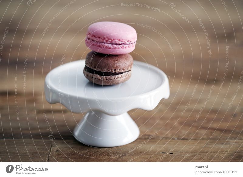 süßes Duo Lebensmittel Dessert Süßwaren Schokolade Ernährung Essen Stimmung Foodfotografie Teller macarons lecker Kalorie Holztisch 2 Farbfoto Innenaufnahme