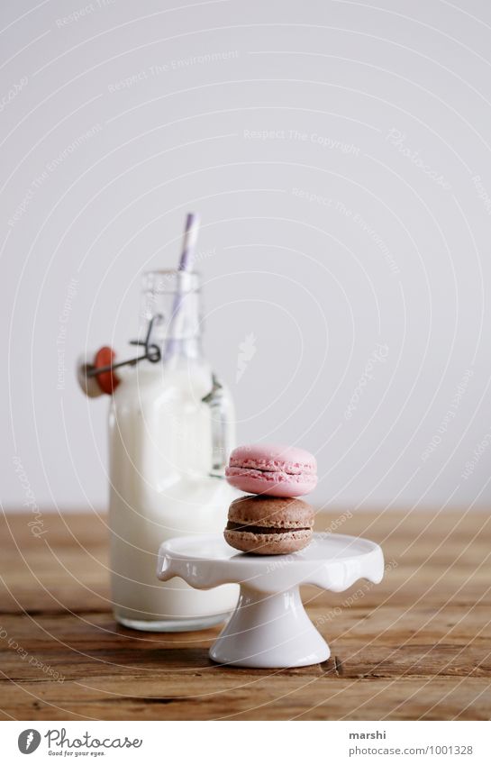 Milch und was zum Naschen Lebensmittel Dessert Süßwaren Schokolade Ernährung Essen Getränk trinken Erfrischungsgetränk Gefühle Stimmung Kalorienreich Flasche