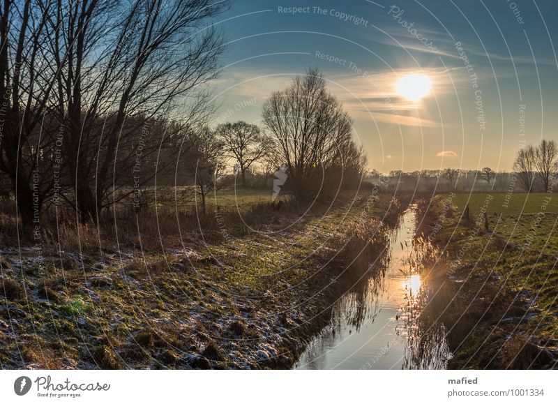 Gegenlicht ohne Mädchen Umwelt Landschaft Erde Wasser Himmel Sonne Winter Schönes Wetter Baum Gras Sträucher Feld Bach Erholung blau braun gelb grün Farbfoto