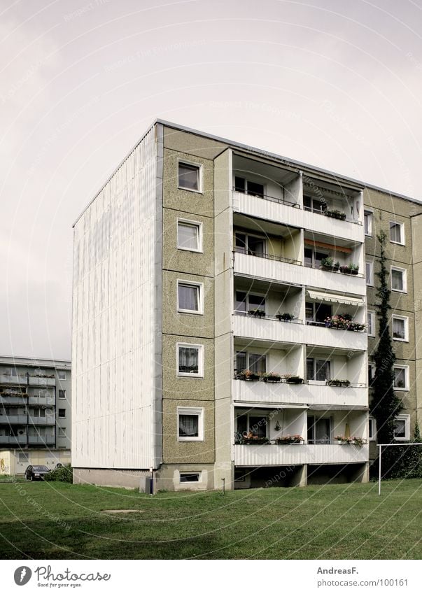 Wohnen im Grünen Plattenbau Haus Block Wohnhochhaus Cottbus Osten Wohnung Balkon Ghetto sozial Sozialismus Fenster Wiese trist grau Billig Arbeitslosigkeit