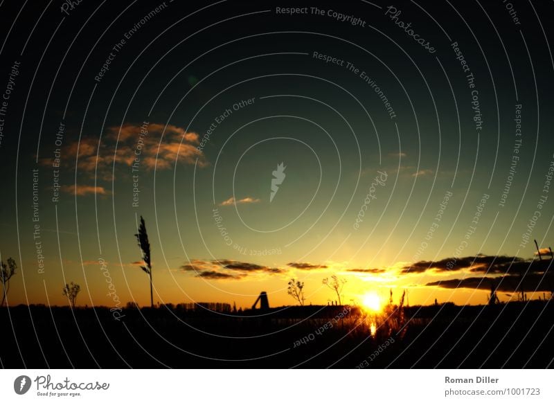 Abendsonne Natur Landschaft Wasser Himmel Sonnenaufgang Sonnenuntergang Winter Pflanze Gras Wildpflanze Flussufer Insel Usedom Peenemünde Bundesadler