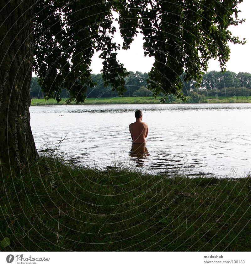 MANN IM SEE Mann Mensch stehen See grün Natur Baum Gras Wiese Sommer kalt Erfrischung Denken Freizeit & Hobby Wasseroberfläche Gesundheit ruhig besinnlich