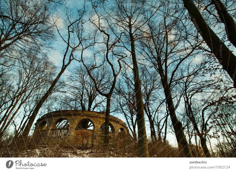 Ehrenmal Park gemeindepark Berlin lankwitz Baum Baumstamm Ast Zweig Winter Himmel Wolken Froschperspektive Denkmal Kriegerdenkmal Ruine Berge u. Gebirge Hügel