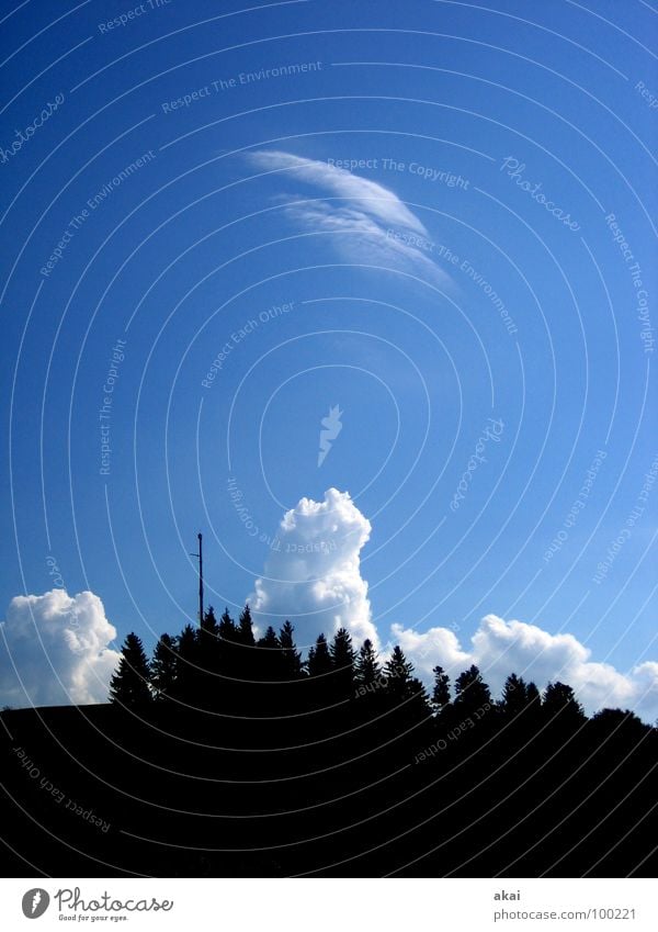 Wetterphänomen Sturm Baum Sonnenlicht himmelblau Schwarzwald Baumstamm Orkan Reflexion & Spiegelung Schauinsland Kumulus Wolken Berge u. Gebirge Himmel storm