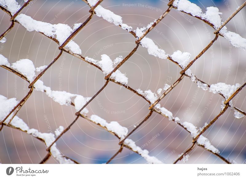 Schnee auf Zaun ruhig Winter Wetter weiß Idylle Schneehaube Gitter Stlileben Jahreszeiten Schneelandschaft Tiefenschörfe wenige Farbfoto Außenaufnahme