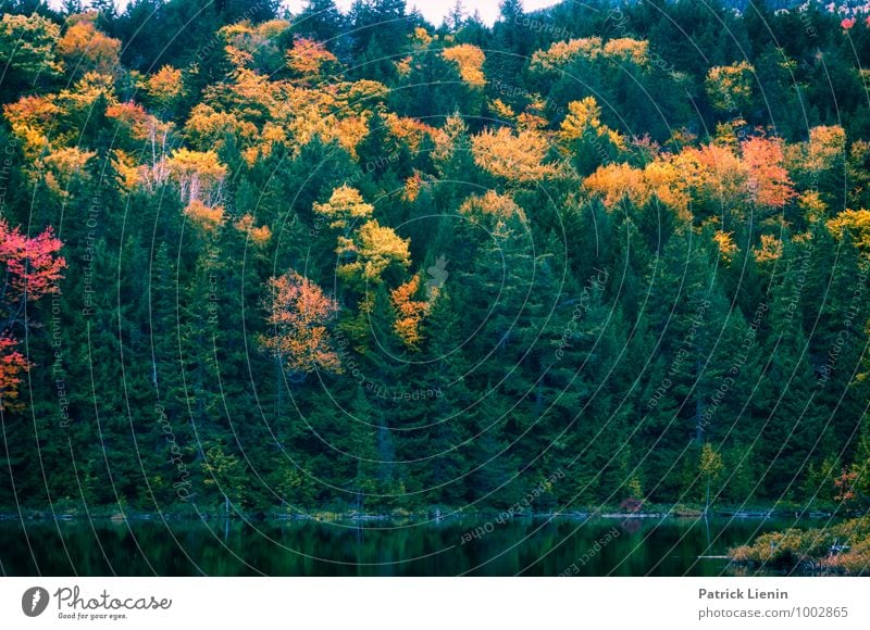 Nordischer Wald Gesundheit Leben harmonisch Wohlgefühl Zufriedenheit Sinnesorgane Erholung Ferien & Urlaub & Reisen Tourismus Ausflug Abenteuer Berge u. Gebirge