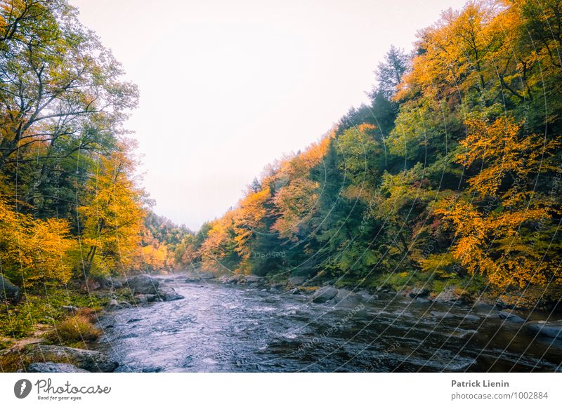 Indian Summer harmonisch Wohlgefühl Zufriedenheit Erholung Ferien & Urlaub & Reisen Ausflug Abenteuer Ferne Freiheit Umwelt Natur Landschaft Urelemente Wasser