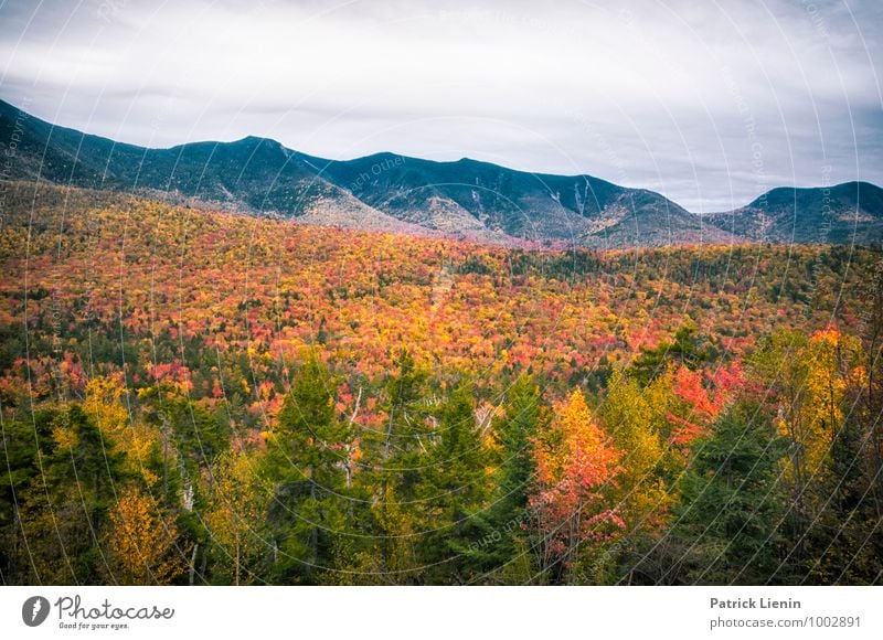 Fall Foliage Wohlgefühl Zufriedenheit Sinnesorgane Erholung ruhig Ferien & Urlaub & Reisen Ausflug Abenteuer Ferne Freiheit Berge u. Gebirge wandern Umwelt