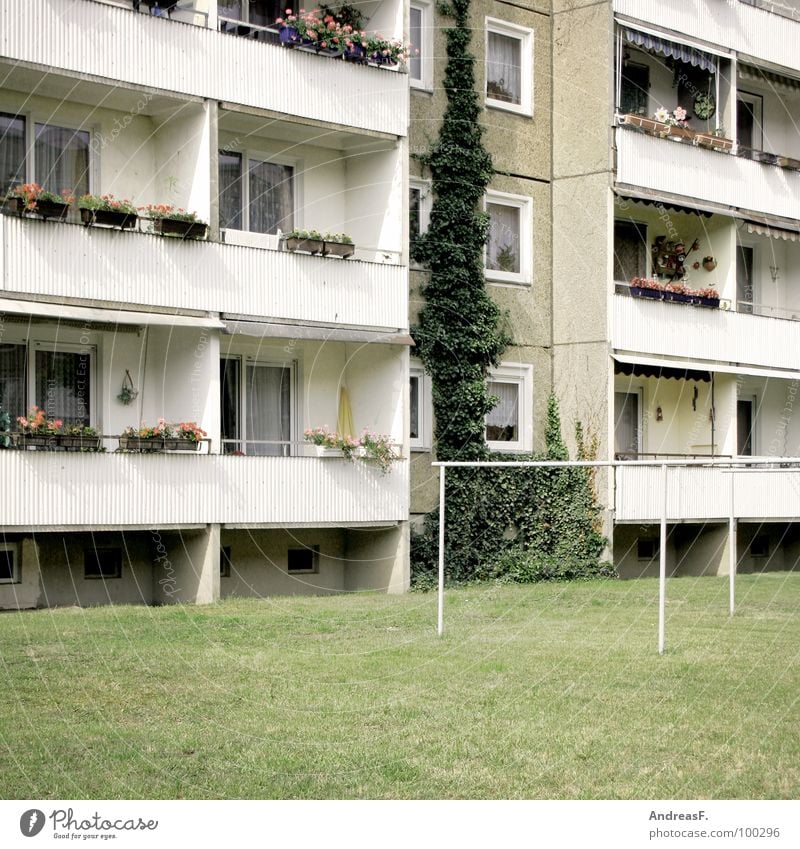 Platte Plattenbau Haus Block Wohnhochhaus Cottbus Osten Wohnung Balkon Ghetto sozial Sozialismus Fenster Wiese trist grau Billig Arbeitslosigkeit