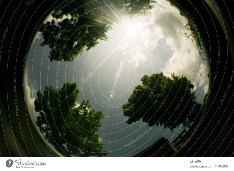 juhuuuuu! lomo! Baum Baumkrone grün Wolken hell-blau 3 Haus Sommer rund Fischauge Planet Sonnenstrahlen Lomografie Himmel Kreis Kugel Erde Beleuchtung