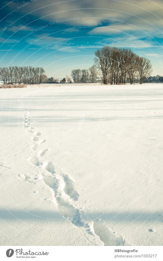 Spuren Winter Schnee wandern Natur Landschaft Sonne Sonnenlicht Eis Frost kalt weiß Schneespur Farbfoto Außenaufnahme Morgen Tag Licht Schatten Totale