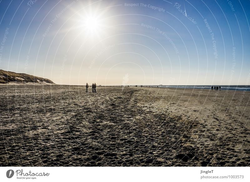 the arrival Umwelt Natur Landschaft Sand Himmel Wolkenloser Himmel Sonne Sonnenlicht Winter Wetter Schönes Wetter Küste Strand Nordsee wandern Unendlichkeit