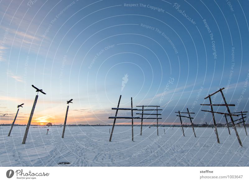 Meditation im Schnee Himmel Sonnenaufgang Sonnenuntergang Winter Schönes Wetter Berlin Berlin-Tempelhof ruhig tempelhofer feld Farbfoto Außenaufnahme