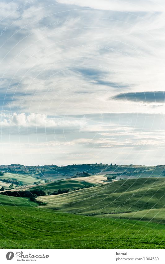 Toskana as Toskana can Ferien & Urlaub & Reisen Tourismus Ausflug Umwelt Natur Landschaft Pflanze Himmel Wolken Sonnenlicht Sommer Schönes Wetter Grünpflanze