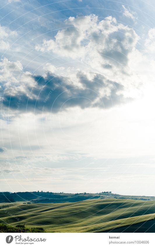 Grüner Teppich Ferien & Urlaub & Reisen Ausflug Abenteuer Ferne Freiheit Sommerurlaub Italien Toskana Umwelt Natur Landschaft Himmel Wolken Sonnenlicht