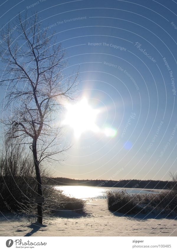 Sonne im Winter Baum kalt Eis Landschaft Himmel Schnee