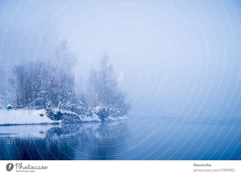 Winterträume Spaziergang Umwelt Natur Landschaft Wasser Sonnenlicht Klima Wetter Nebel Eis Frost Schnee Pflanze Baum Sträucher Grünpflanze Wildpflanze Seeufer