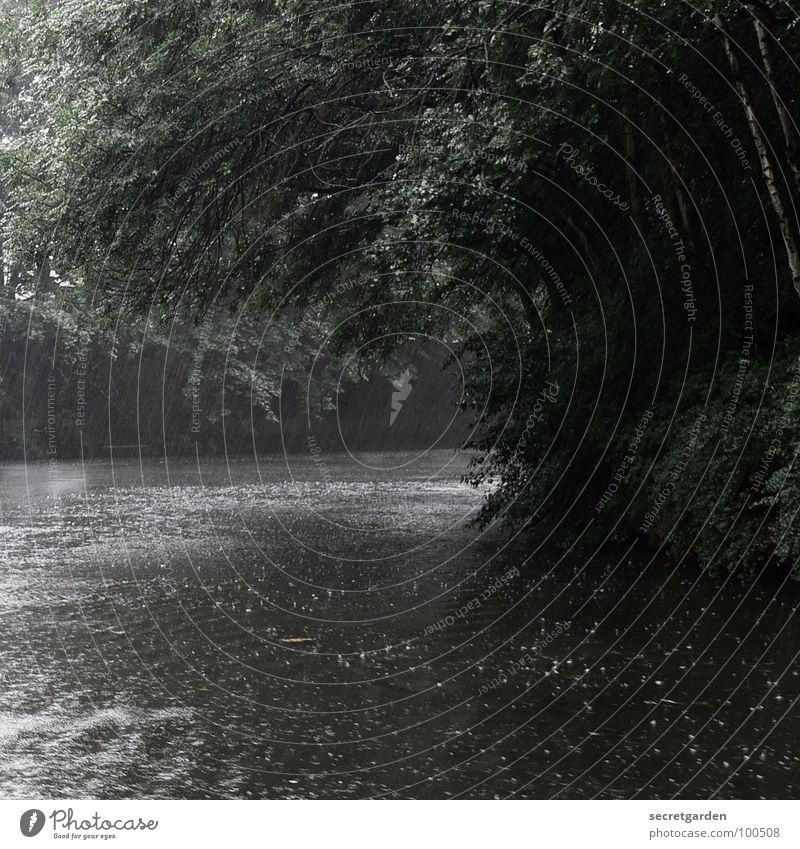 hinter der kurve Baum See Fleet Blatt dunkel Menschenleer Trauer trist grau Bach Stimmung Enttäuschung nass Raum Wasserfahrzeug Verzweiflung Gefühle Fluss Regen