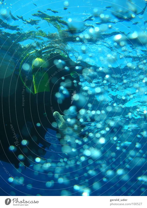 Blubber blubber tauchen kalt Meer Tauchgerät Wasserfahrzeug Sport Spielen blasen Flasche Unterwasseraufnahme