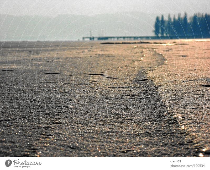 Eiswelt am Bodensee Steg Winter Spuren Sonnenuntergang Stimmung Gefrohren Furche Schnee Wasser