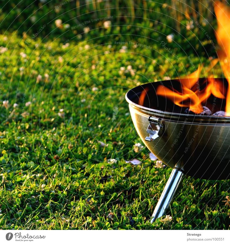 Ne Wurscht grillieren... Grill Holz Glut Standbein Wiese heiß grün Schnalle Blech Abendessen See Gras Sommer Physik Feuer Brand Funken Kugel Ernährung Flamme