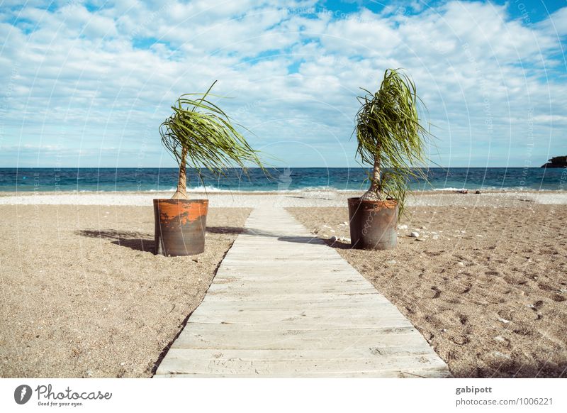 ab in den urlaub Wellness Wohlgefühl Zufriedenheit Erholung ruhig Meditation Duft Kur Ferien & Urlaub & Reisen Tourismus Ferne Natur Landschaft Sand Luft Wasser