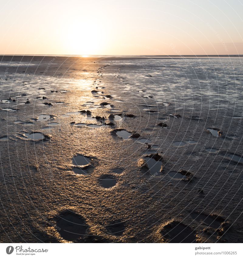 Tschüss, liebe Anne! neue Wege gehen Umwelt Natur Landschaft Sonnenaufgang Sonnenuntergang Sommer Schönes Wetter Küste Strand Nordsee Ostsee Meer Kitsch