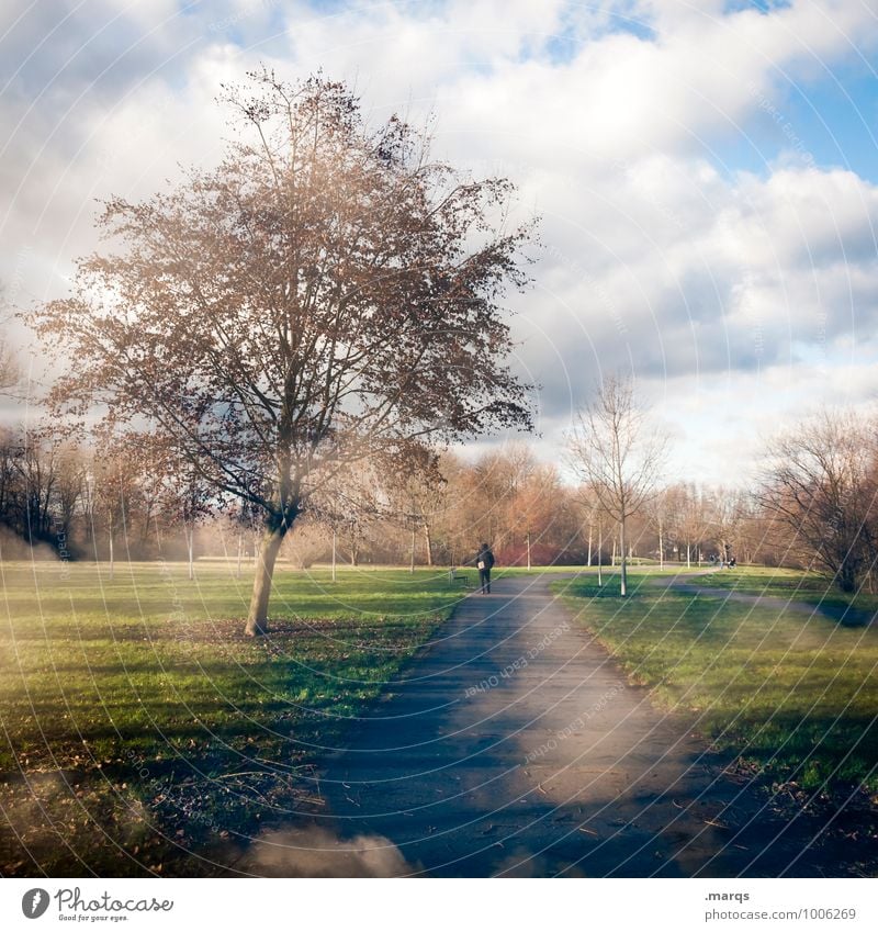 Früher Frühling Ausflug Mensch 1 Umwelt Natur Landschaft Urelemente Himmel Wolken Winter Klima Baum Park Wiese Wege & Pfade Erholung gehen schön Stimmung