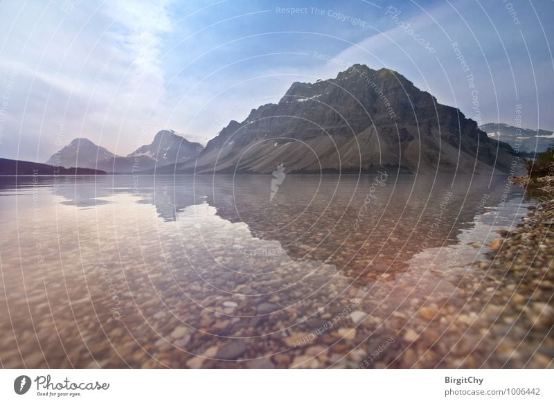 Bow Lake Natur Landschaft Wasser Himmel Sommer Berge u. Gebirge Rocky Mountains Idylle Ferien & Urlaub & Reisen Farbfoto Außenaufnahme Menschenleer Tag