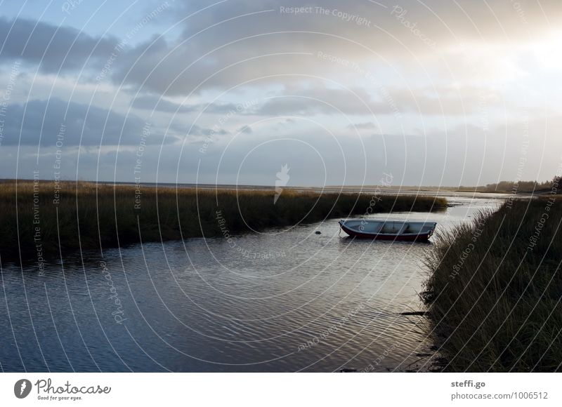 Einsamkeit Ferien & Urlaub & Reisen Ausflug Abenteuer Ferne Freiheit Meer Insel Wellen Landschaft Wolken Horizont Sträucher Küste Seeufer Flussufer Bucht Fjord