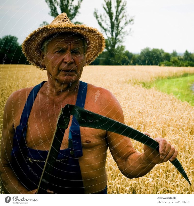 Der Sensenmann Feld Landwirtschaft Großvater Mann braun Sonnenbad Leder Scharfrichter Abschlag Weizen Latzhose alt Strohhut Handwerk Senior Sommer Tod