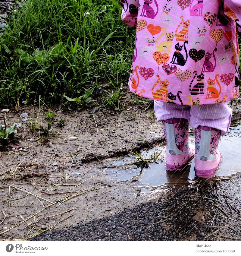 plitsch platsch Schlamm Gras Gummistiefel Stiefel Regenjacke Katze Mädchen Kleinkind Freude Wasser Bodenbelag Herz dreckig Natur