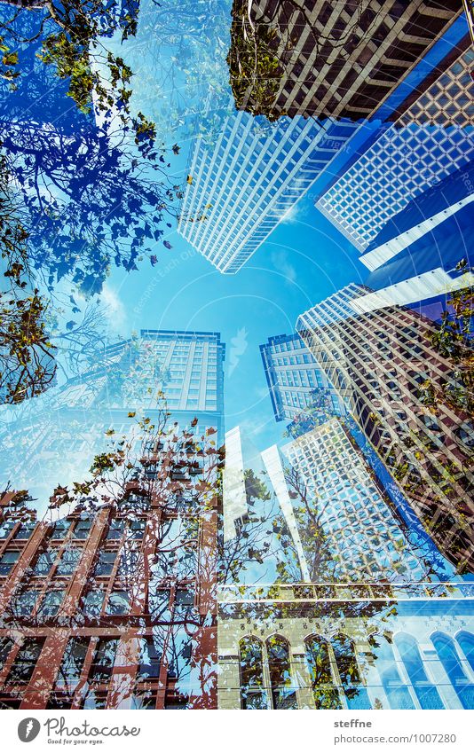 Scraping Skies Himmel Sommer Schönes Wetter Baum San Francisco Kalifornien USA Stadt Skyline Haus Hochhaus hoch Doppelbelichtung Farbfoto mehrfarbig