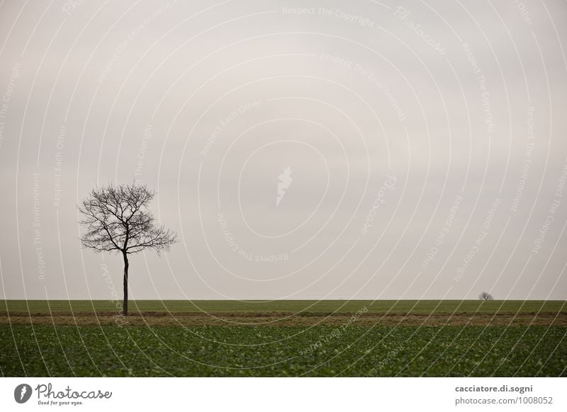 Etwas ausserhalb Umwelt Landschaft Himmel Herbst Baum Feld dunkel einfach trist grau grün schwarz ruhig Traurigkeit Müdigkeit Sehnsucht Fernweh Enttäuschung