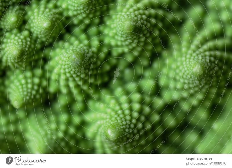 Fibonacci-Gemüse II Lebensmittel Ernährung Bioprodukte Vegetarische Ernährung Pflanze Nutzpflanze Romanesco frisch Gesundheit grün fraktal fibonacci Farbfoto