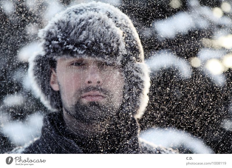 Jan Junger Mann Jugendliche Kopf 1 Mensch 18-30 Jahre Erwachsene Winter Schnee Schneefall Fell Mütze Bart Dreitagebart beobachten kalt Tschapka Schneeflocke