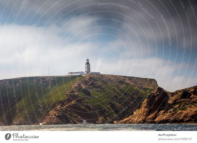 Leuchtturm auf den Berlengas Ferien & Urlaub & Reisen Tourismus Ausflug Abenteuer Ferne Freiheit Kreuzfahrt Expedition Sommerurlaub Umwelt Natur Landschaft