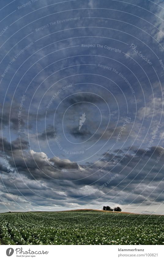 Mittelerde... Auenland Feld Nachrichten aus Mittelerde Der Herr der Ringe ungewiss Hoffnung Gras Horizont Wolken Himmel schlechtes Wetter Gewitterwolken ruhig