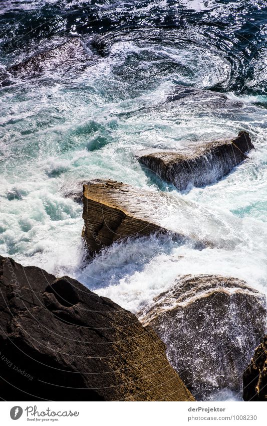 wunderschöne Naturgewalt Freizeit & Hobby Ferien & Urlaub & Reisen Tourismus Ausflug Abenteuer Ferne Freiheit Sightseeing Meer Insel Umwelt Landschaft Pflanze