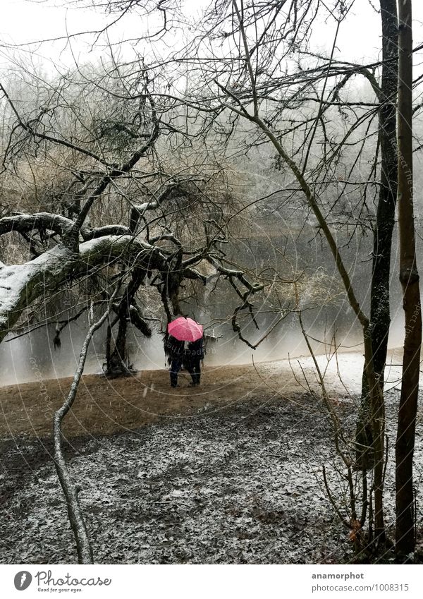 red rain Freizeit & Hobby Ausflug Winter Schnee Freundschaft Paar Jugendliche Natur Landschaft Pflanze Sand Wasser Wetter schlechtes Wetter Wind Schneefall Baum