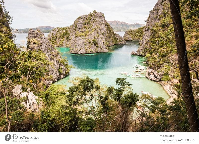 Coron Island Ferien & Urlaub & Reisen Tourismus Ausflug Abenteuer Ferne Expedition Sommer Sommerurlaub Sonne Meer Insel Natur Wasser Wetter Schönes Wetter Baum