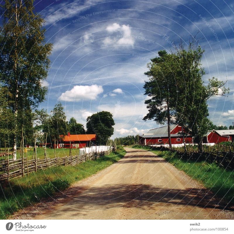 Hinterland Haus Umwelt Natur Landschaft Pflanze Erde Himmel Wolken Klima Schönes Wetter Baum Dorf Verkehr Verkehrswege Idylle abgelegen Seitenstraße