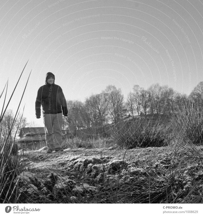 Winterspaziergang sw wandern maskulin Junger Mann Jugendliche Erwachsene 1 Mensch 18-30 Jahre Landschaft Erde Himmel Wolkenloser Himmel Eis Frost Pflanze Baum