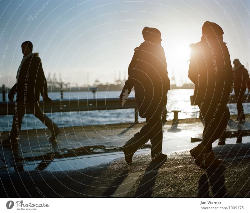 Hamburger Hafen harmonisch Sightseeing Städtereise Winter Winterurlaub Erneuerbare Energie Sonnenenergie Mensch Paar Partner Leben 2 3 Schönes Wetter Eis Frost