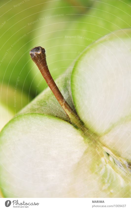 Detail of a green apple Lebensmittel Frucht Apfel Ernährung Vegetarische Ernährung Umwelt Natur frisch lecker grün Apfelschale apple skin aufgeschnitten sliced